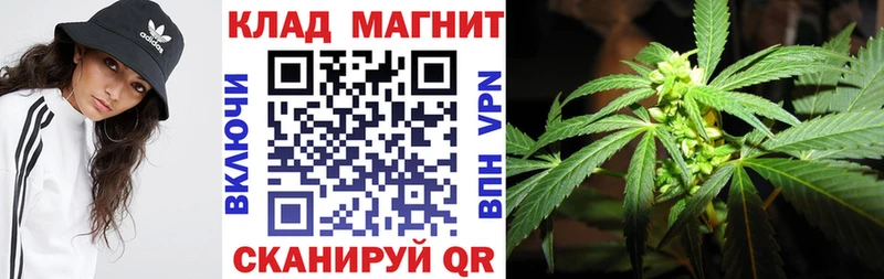 Как найти закладки Борзя АМФЕТАМИН  МЕФ  МАРИХУАНА  Псилоцибиновые грибы  Alpha-PVP 