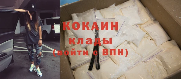 прущие грибы Белоозёрский