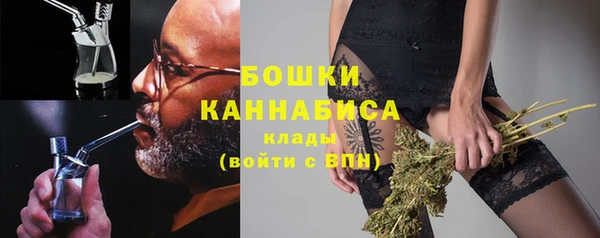 прущие грибы Белоозёрский