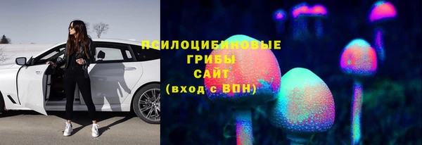 тгк Богданович