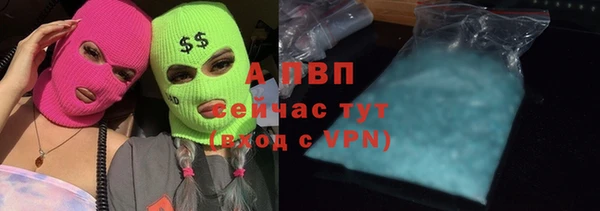 прущие грибы Белоозёрский