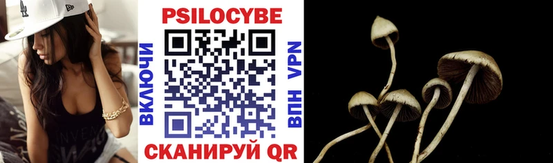Псилоцибиновые грибы GOLDEN TEACHER Борзя